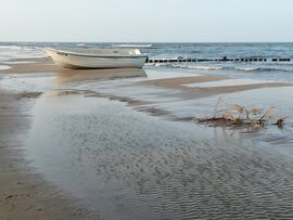 Fasten an der Ostsee, Fastenkur Ostsee Heilfasten Buchinger, Strandgut am Morgen vor Usedom