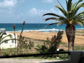 Palme Blick vom Hotel Fasten/Fastenkur am Mittelmeer auf Kreta, Griechenland