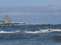 Fastenkur Ostsee, Heilfasten nach Dr. Buchinger, Fasten am Ostseestrand