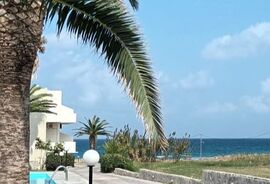 Palmen im Garten unseres Fasten-Retreat-Fasten/Fastenkur/Heilfasten auf Kreta Griechenland